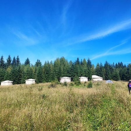 Eco Glamping - Carpathians. Retreat Hub Dzin Space Verkhovyna Exterior foto