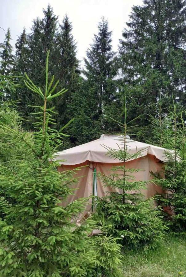 Eco Glamping - Carpathians. Retreat Hub Dzin Space Verkhovyna Exterior foto