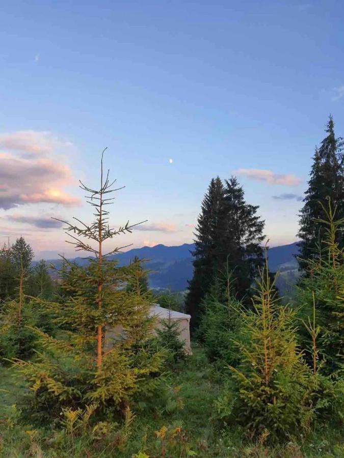 Eco Glamping - Carpathians. Retreat Hub Dzin Space Verkhovyna Exterior foto