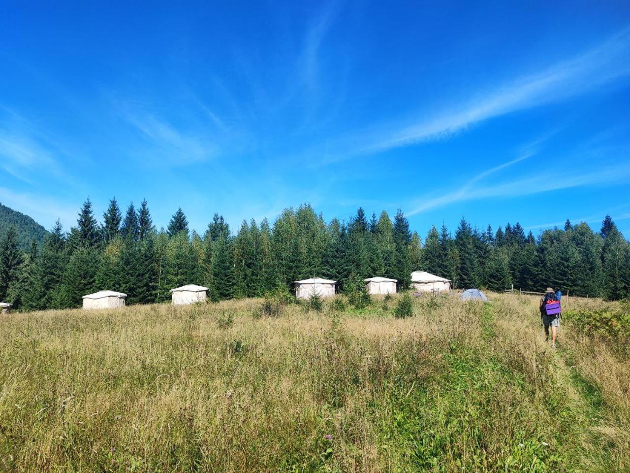 Eco Glamping - Carpathians. Retreat Hub Dzin Space Verkhovyna Exterior foto